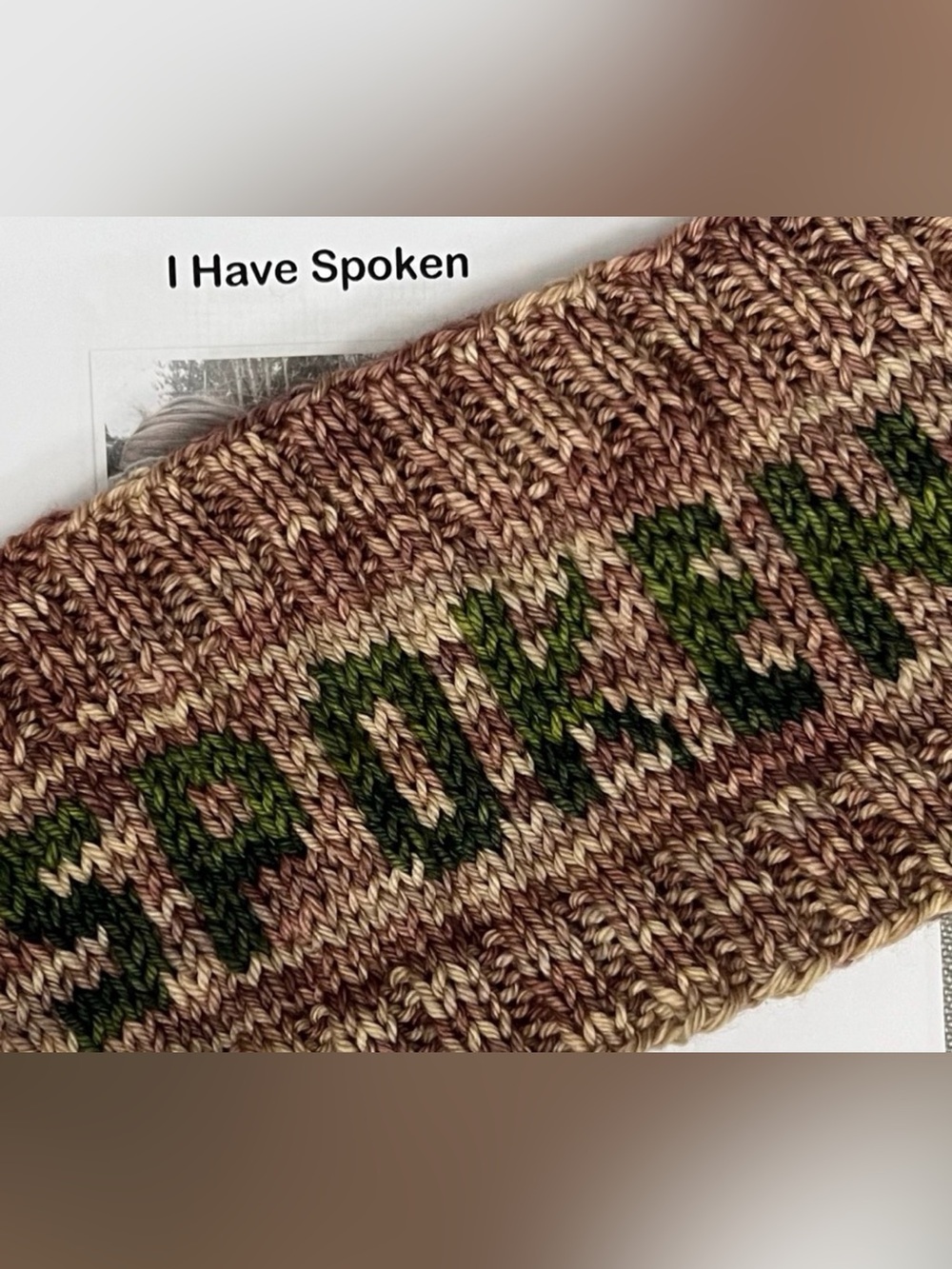 “ I Have Spoken!” Headband/Earwarmer